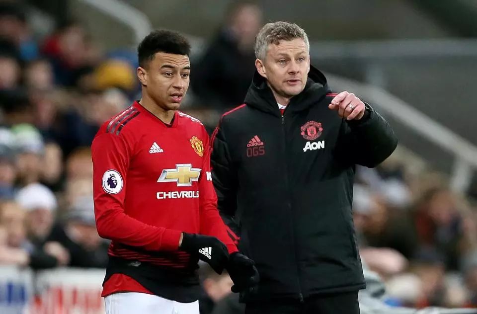 直观展示了 直观展示了